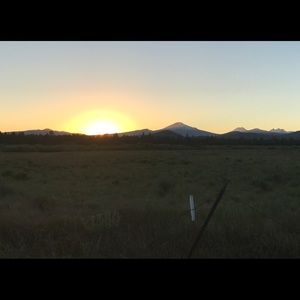 Meet your Posher, Janelle